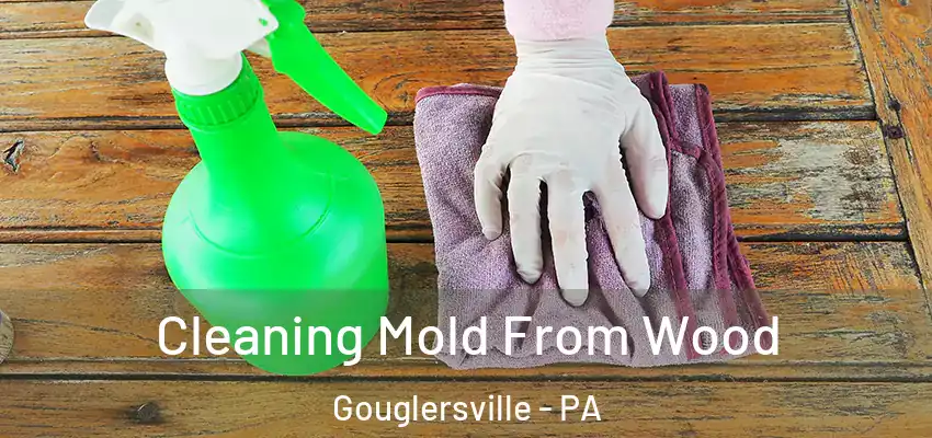 Cleaning Mold From Wood Gouglersville - PA