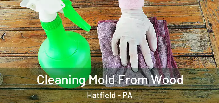 Cleaning Mold From Wood Hatfield - PA