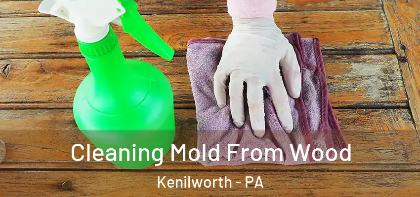  Cleaning Mold From Wood Kenilworth - PA