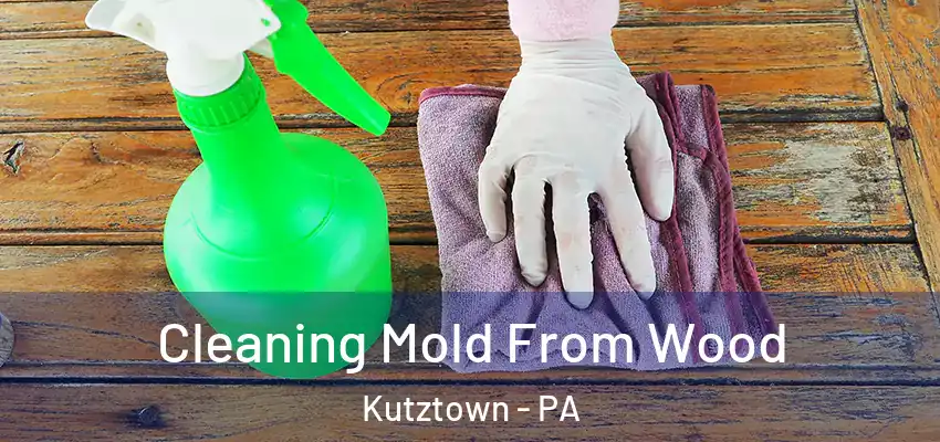  Cleaning Mold From Wood Kutztown - PA