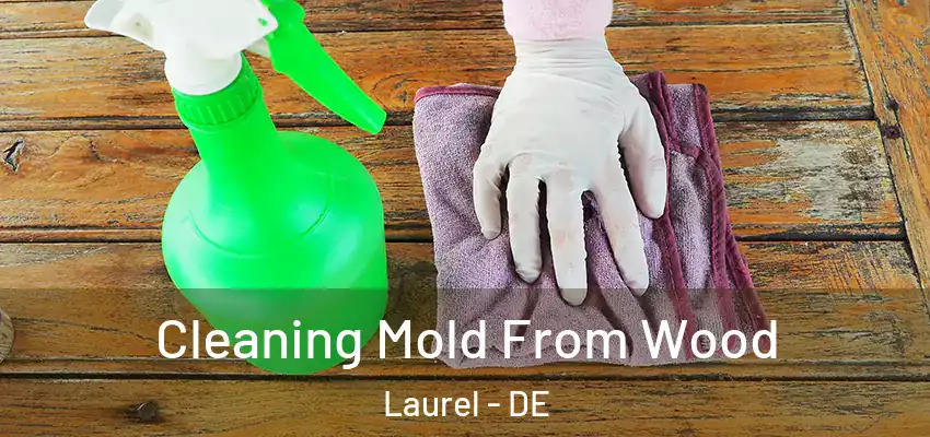 Cleaning Mold From Wood Laurel - DE