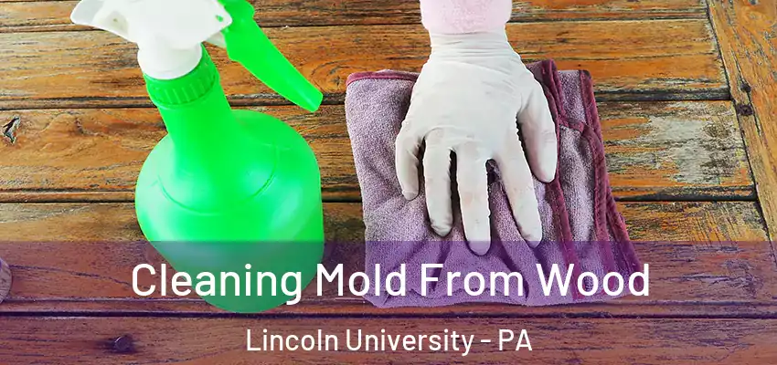 Cleaning Mold From Wood Lincoln University - PA