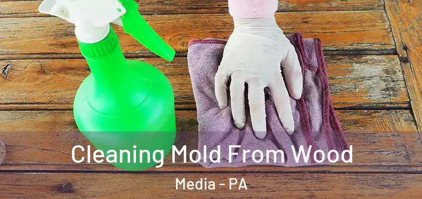  Cleaning Mold From Wood Media - PA