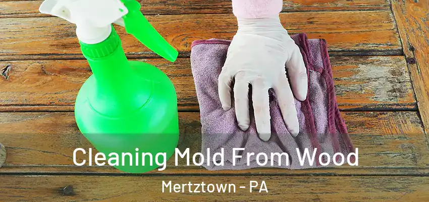  Cleaning Mold From Wood Mertztown - PA