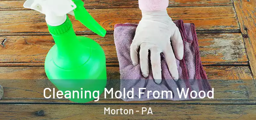  Cleaning Mold From Wood Morton - PA