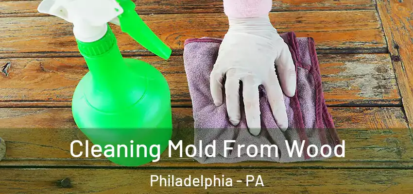 Cleaning Mold From Wood Philadelphia - PA
