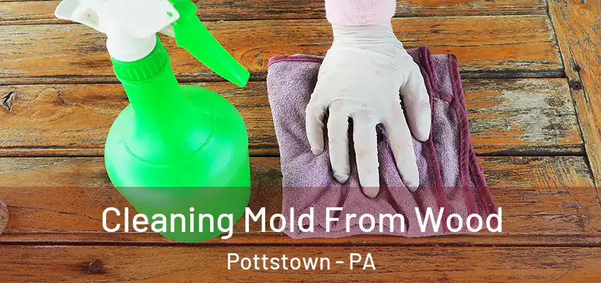  Cleaning Mold From Wood Pottstown - PA