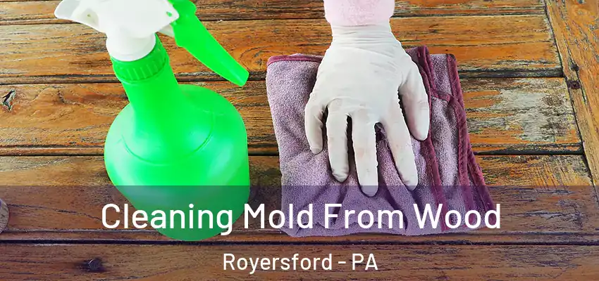  Cleaning Mold From Wood Royersford - PA