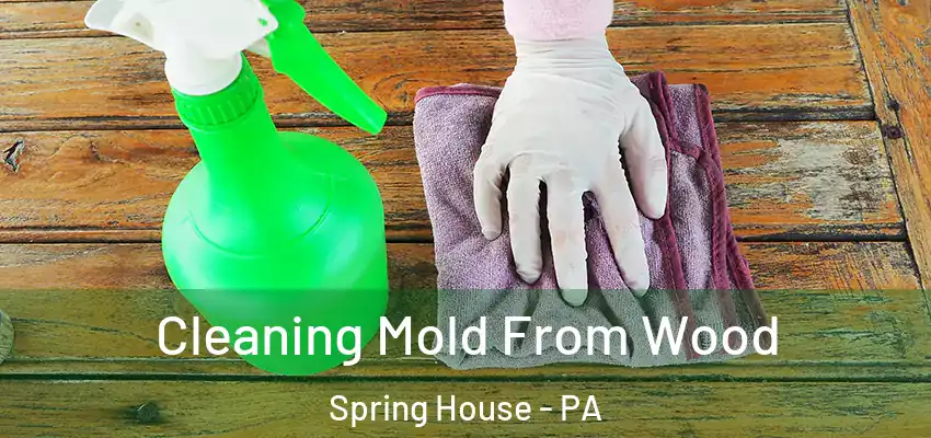  Cleaning Mold From Wood Spring House - PA