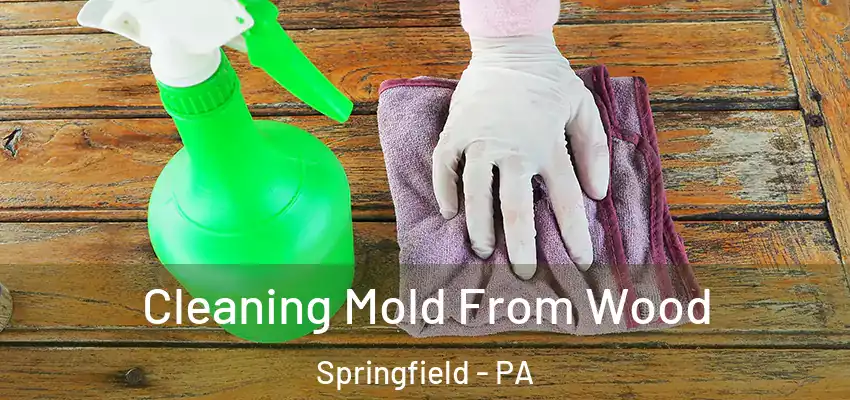  Cleaning Mold From Wood Springfield - PA