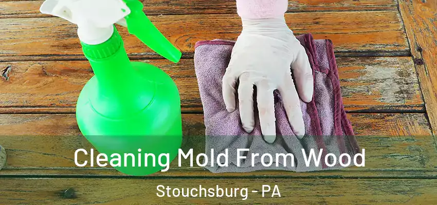 Cleaning Mold From Wood Stouchsburg - PA