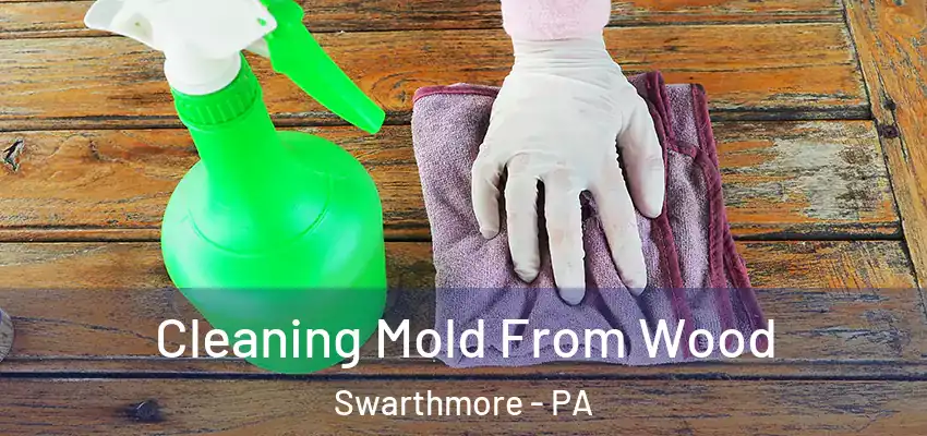  Cleaning Mold From Wood Swarthmore - PA