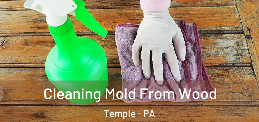 Cleaning Mold From Wood Temple - PA