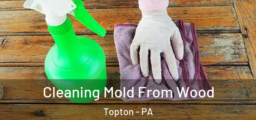  Cleaning Mold From Wood Topton - PA