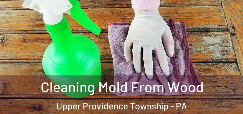 Cleaning Mold From Wood Upper Providence Township - PA