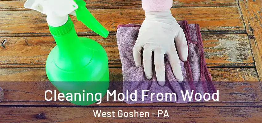  Cleaning Mold From Wood West Goshen - PA