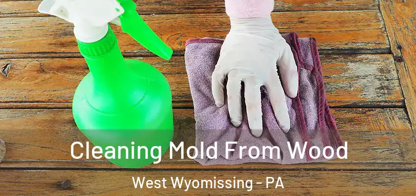 Cleaning Mold From Wood West Wyomissing - PA