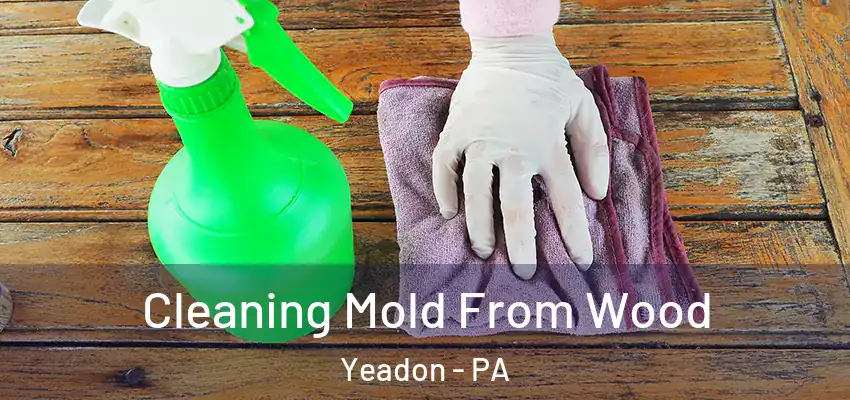 Cleaning Mold From Wood Yeadon - PA