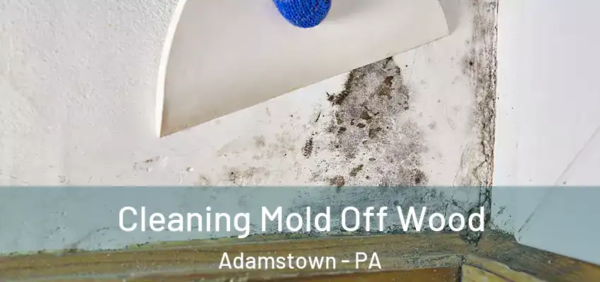  Cleaning Mold Off Wood Adamstown - PA