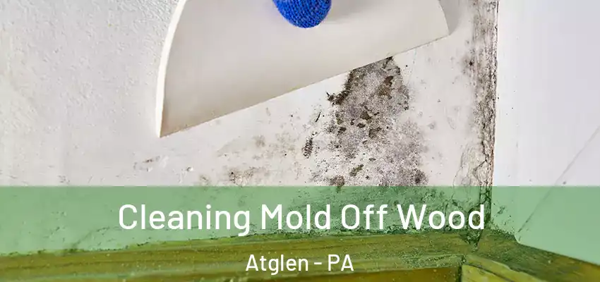  Cleaning Mold Off Wood Atglen - PA