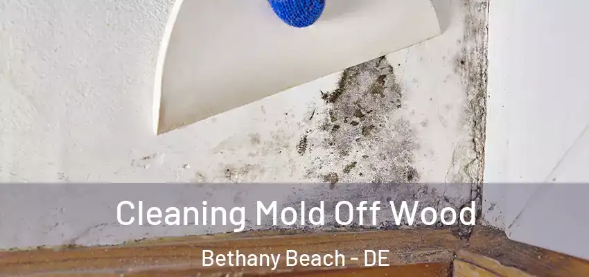 Cleaning Mold Off Wood Bethany Beach - DE