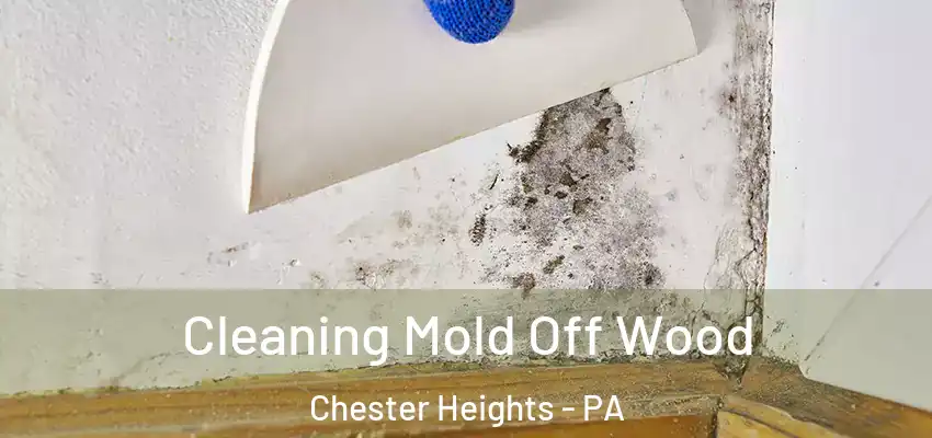  Cleaning Mold Off Wood Chester Heights - PA