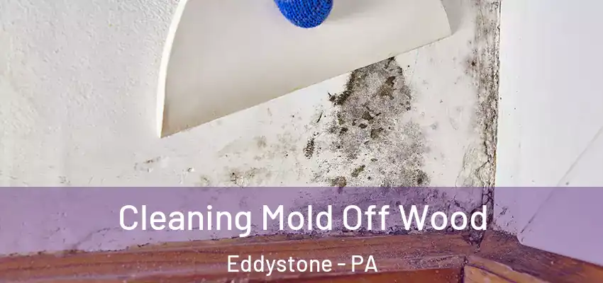 Cleaning Mold Off Wood Eddystone - PA