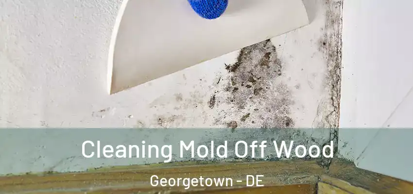Cleaning Mold Off Wood Georgetown - DE