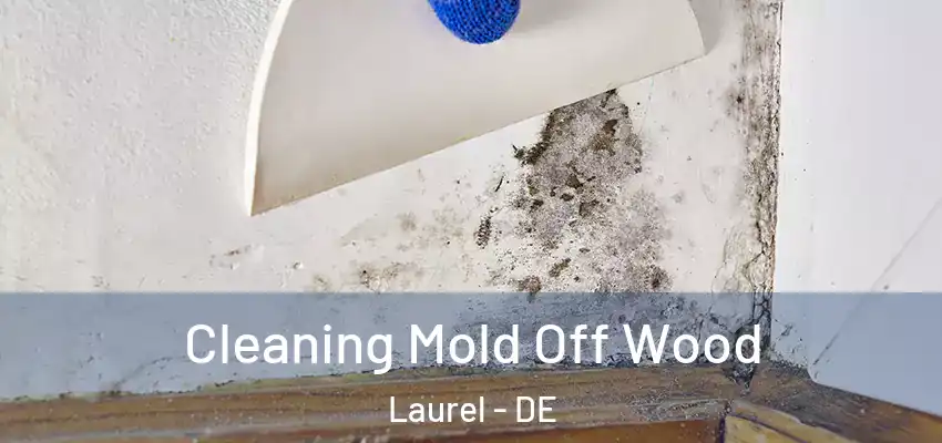 Cleaning Mold Off Wood Laurel - DE