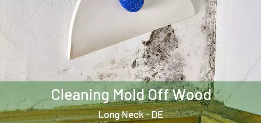 Cleaning Mold Off Wood Long Neck - DE