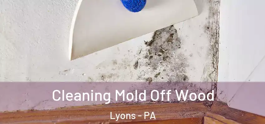  Cleaning Mold Off Wood Lyons - PA