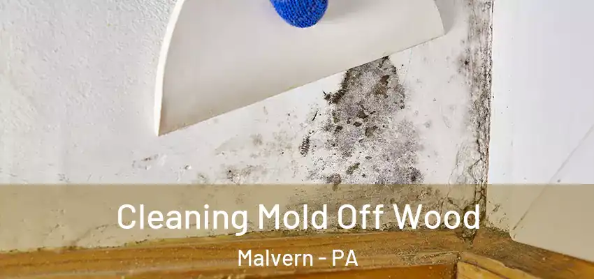  Cleaning Mold Off Wood Malvern - PA