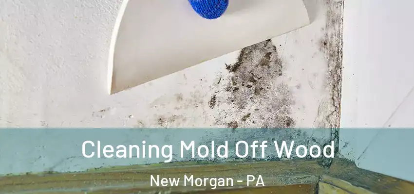  Cleaning Mold Off Wood New Morgan - PA