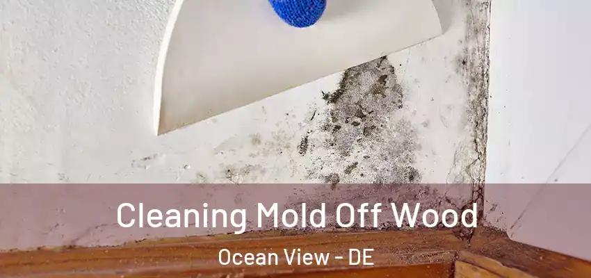 Cleaning Mold Off Wood Ocean View - DE