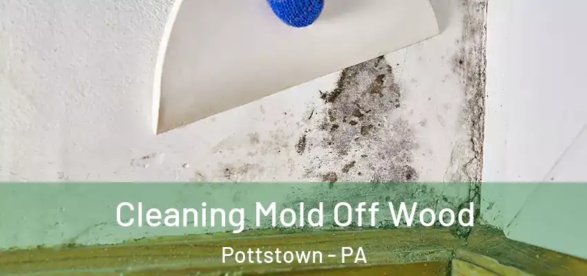 Cleaning Mold Off Wood Pottstown - PA