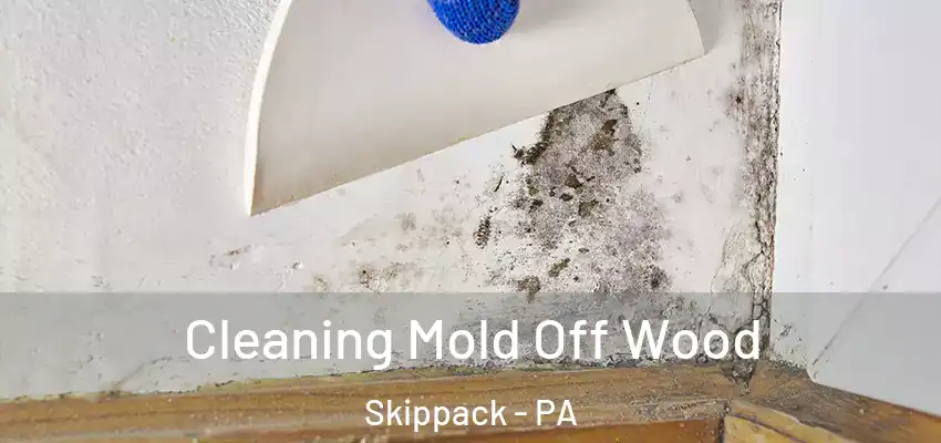  Cleaning Mold Off Wood Skippack - PA