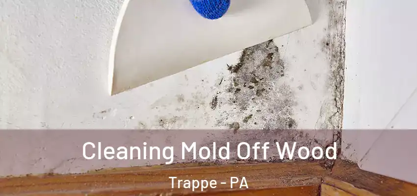  Cleaning Mold Off Wood Trappe - PA