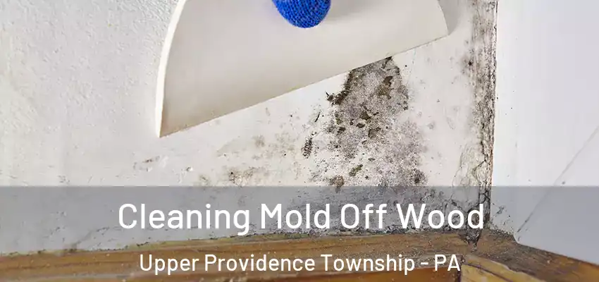  Cleaning Mold Off Wood Upper Providence Township - PA