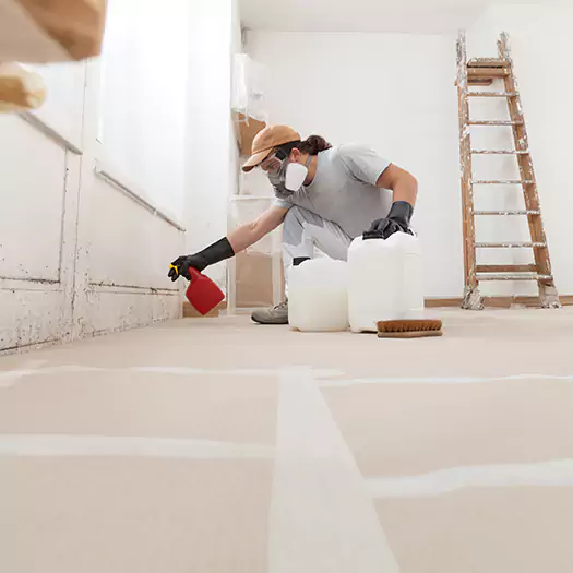 Reliable Mold Stain Remover Specialists in Woodbourne, PA