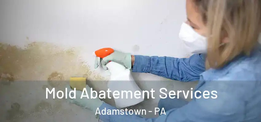 Mold Abatement Services Adamstown - PA