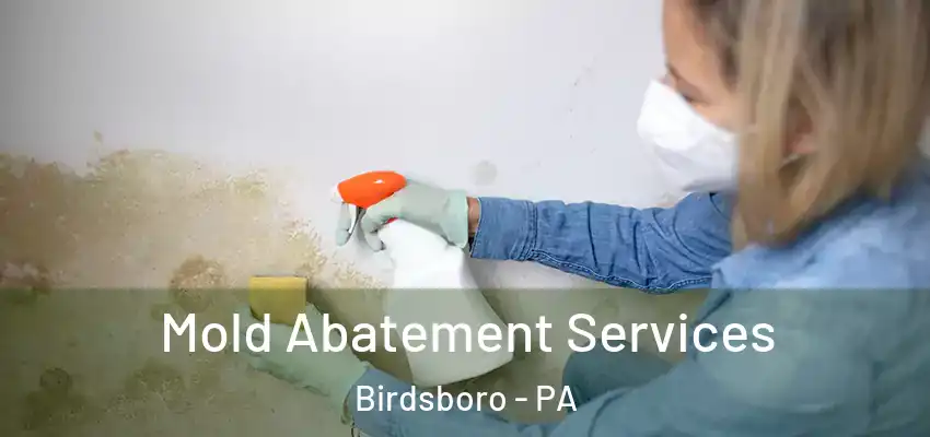  Mold Abatement Services Birdsboro - PA