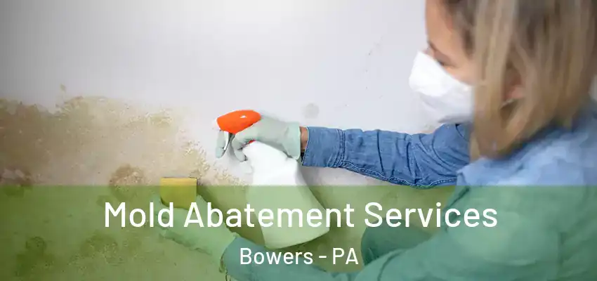 Mold Abatement Services Bowers - PA