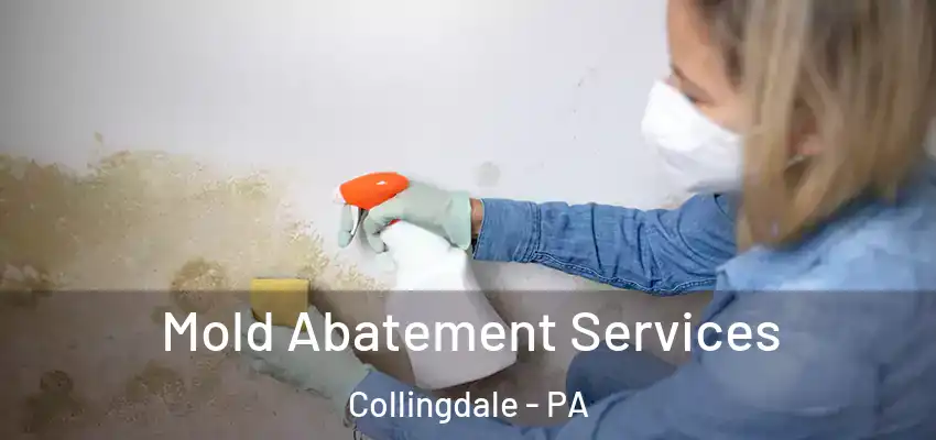 Mold Abatement Services Collingdale - PA