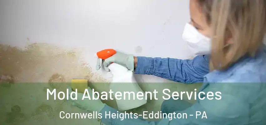 Mold Abatement Services Cornwells Heights-Eddington - PA
