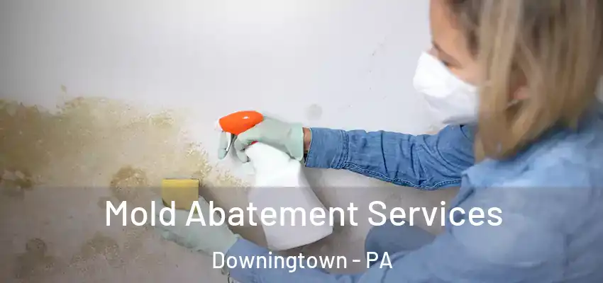 Mold Abatement Services Downingtown - PA