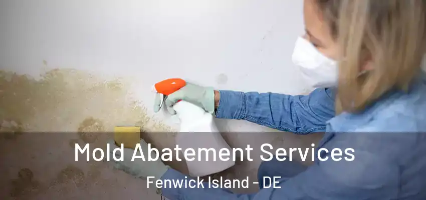 Mold Abatement Services Fenwick Island - DE