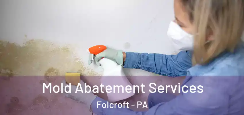 Mold Abatement Services Folcroft - PA