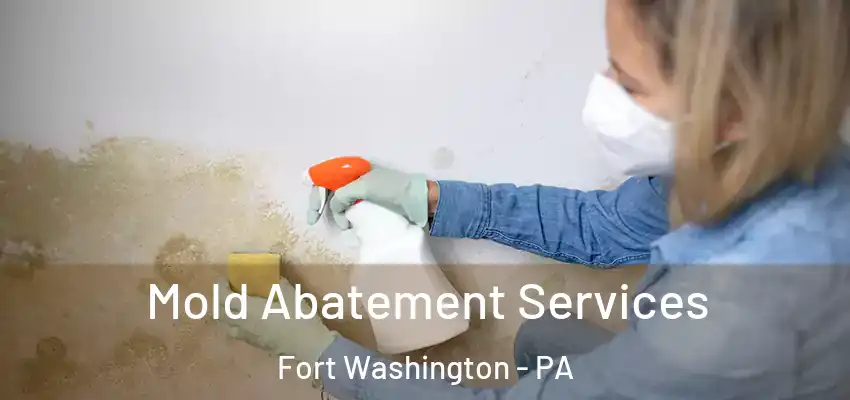 Mold Abatement Services Fort Washington - PA