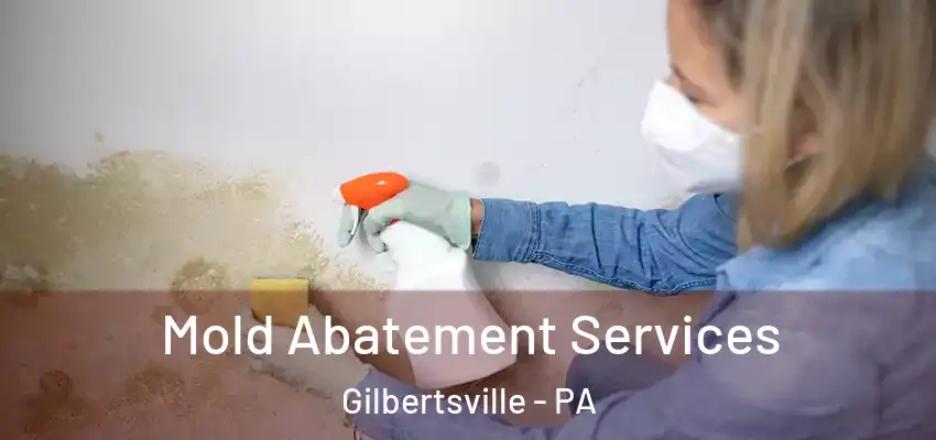  Mold Abatement Services Gilbertsville - PA