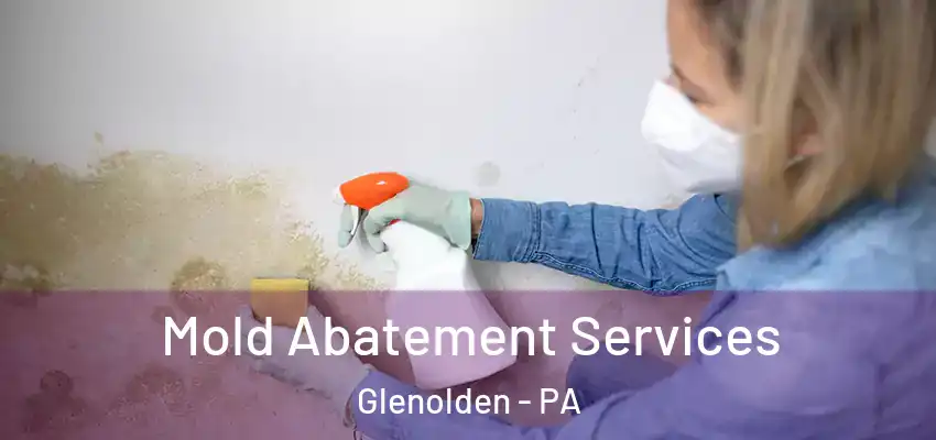 Mold Abatement Services Glenolden - PA